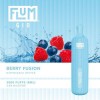 Flum Gio Disposable Pod (3000 Puffs)