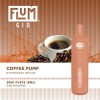 Flum Gio Disposable Pod (3000 Puffs)